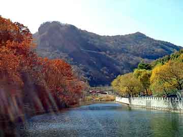 新澳门二四六天天彩，和老师同居的日子